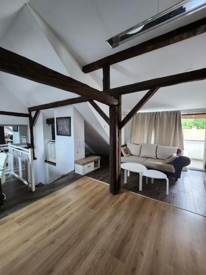 Apartament Apartman Buzanova 001 Zagrzeb Zewnętrze zdjęcie